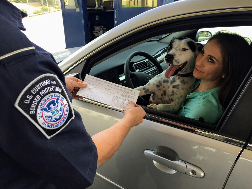 Understanding Car Rental Rules for Taking Pets Along